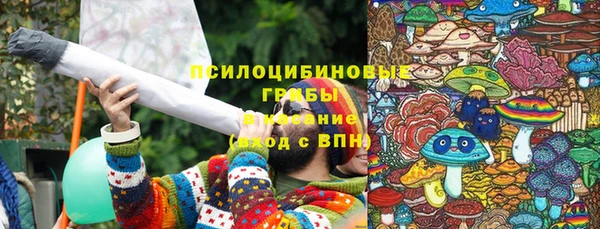 мет Арсеньев