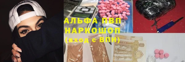 сатива Армянск