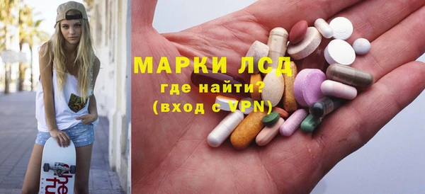 сатива Армянск