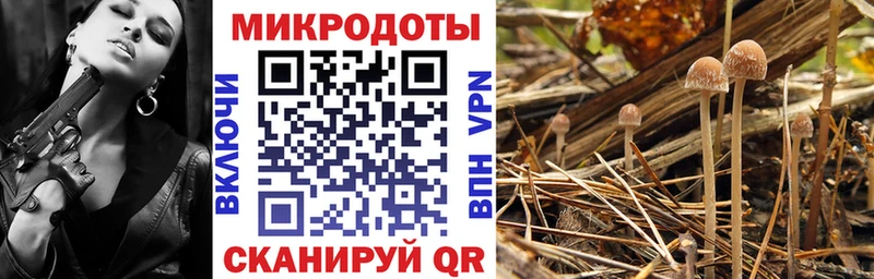 Галлюциногенные грибы Magic Shrooms  Сольцы 